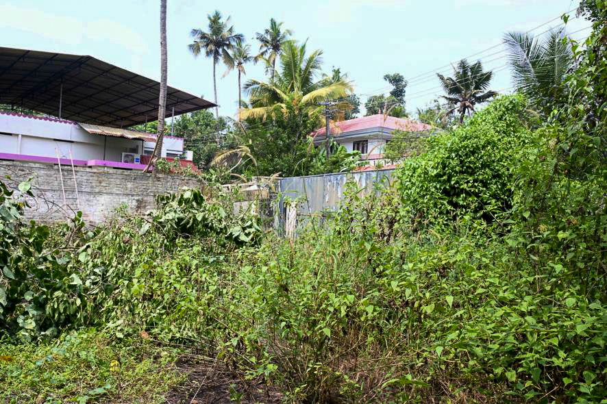 Shops for sale in Kollam — photo 8