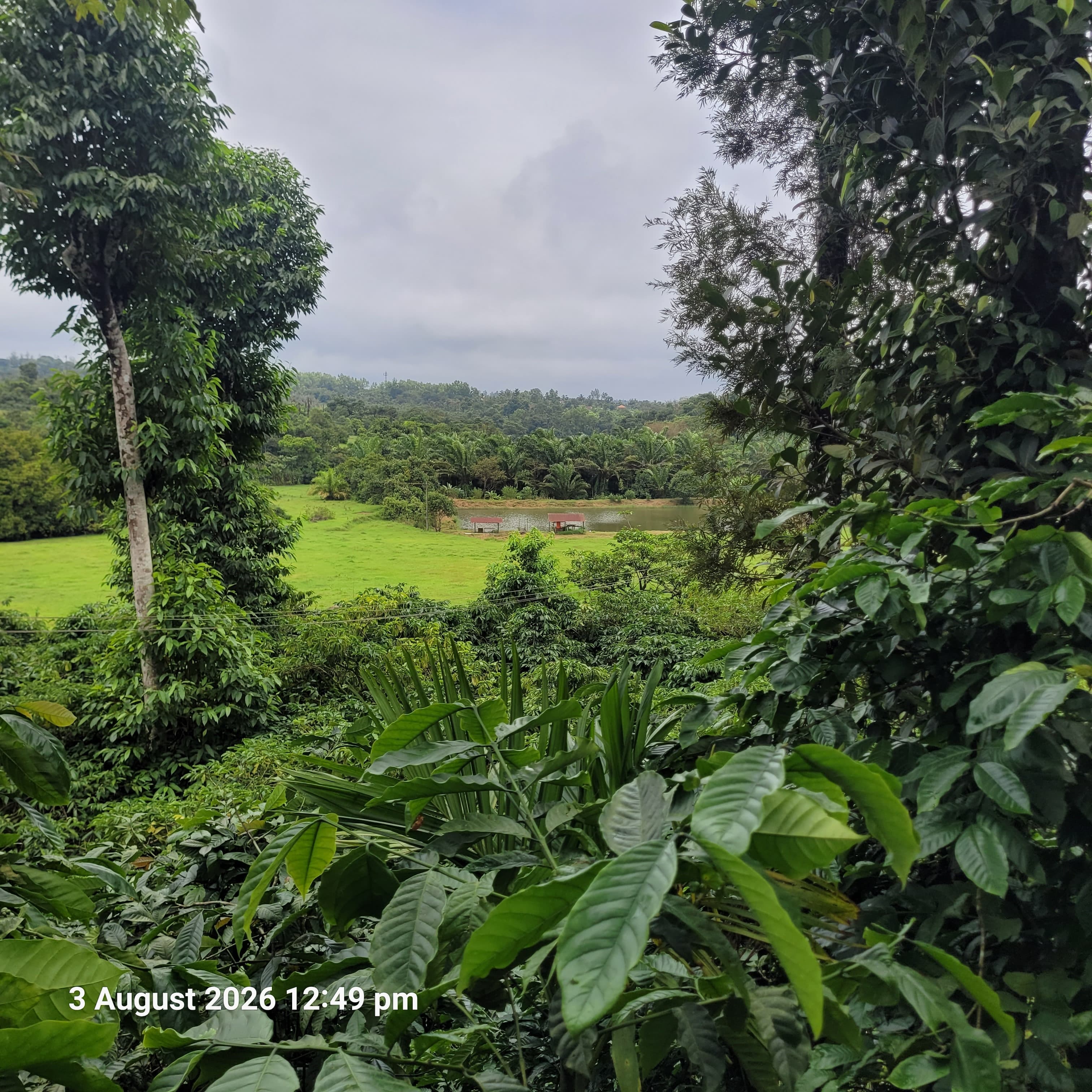 Agriculture Land for sale in KURUBATTUR VILLAGE Sakleshpur — photo 1