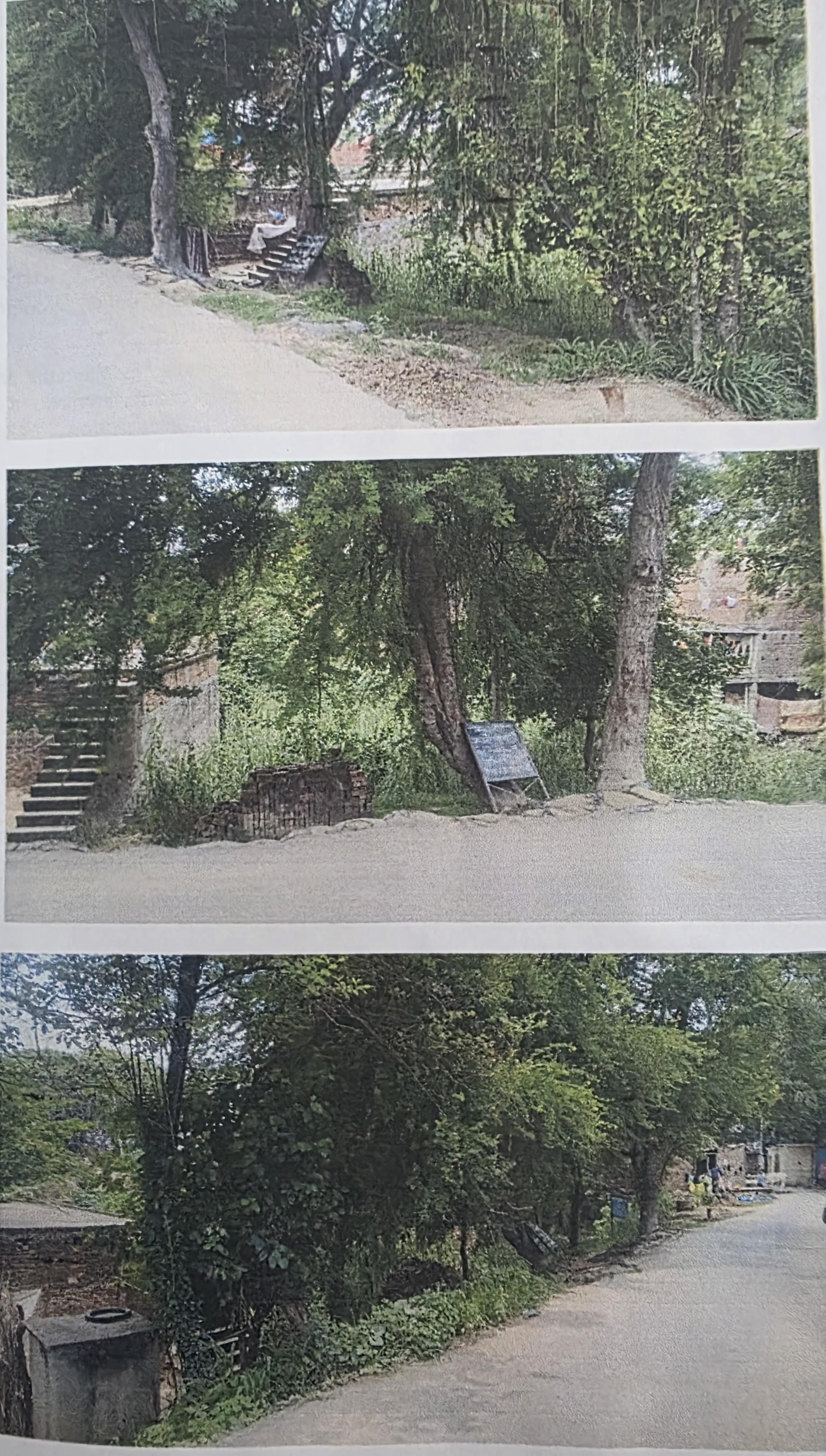 6322 square feet Plot for sale in Gorakhpur