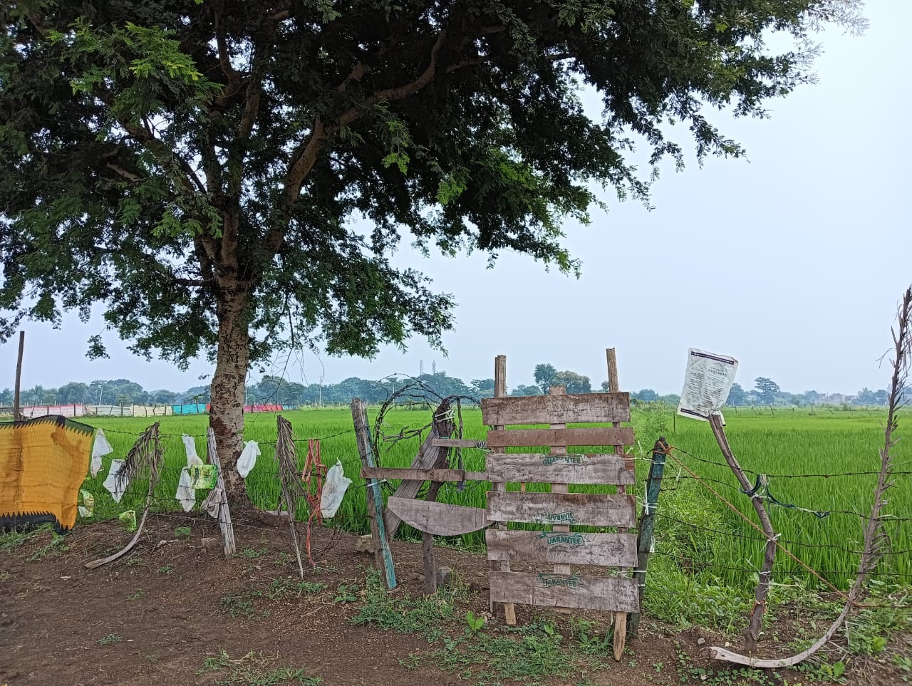 6000 square feet Plot for sale in bhilai Bhilai — photo 3