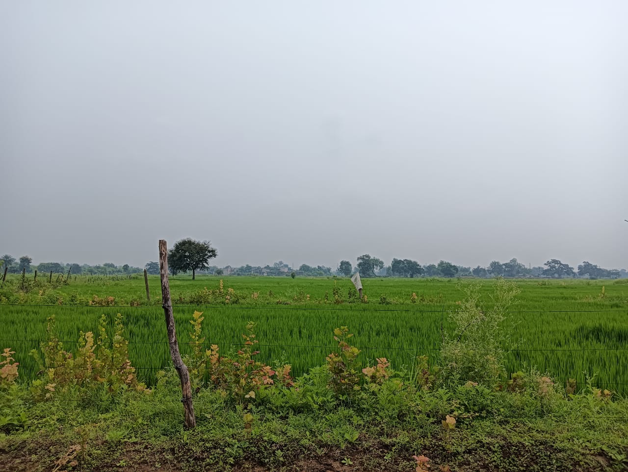 6000 square feet Plot for sale in bhilai Bhilai — photo 5