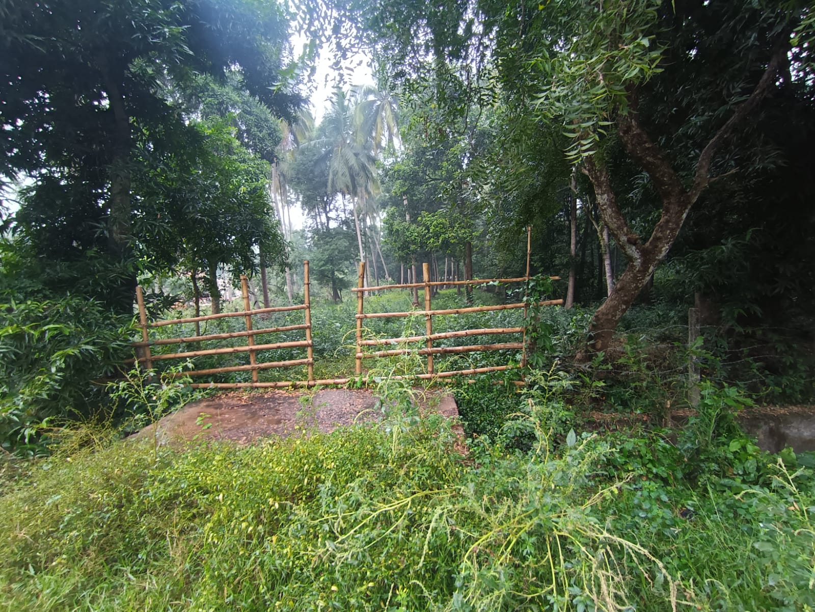 Plot for sale in GANJAM,ODISHA Kodala — photo 2