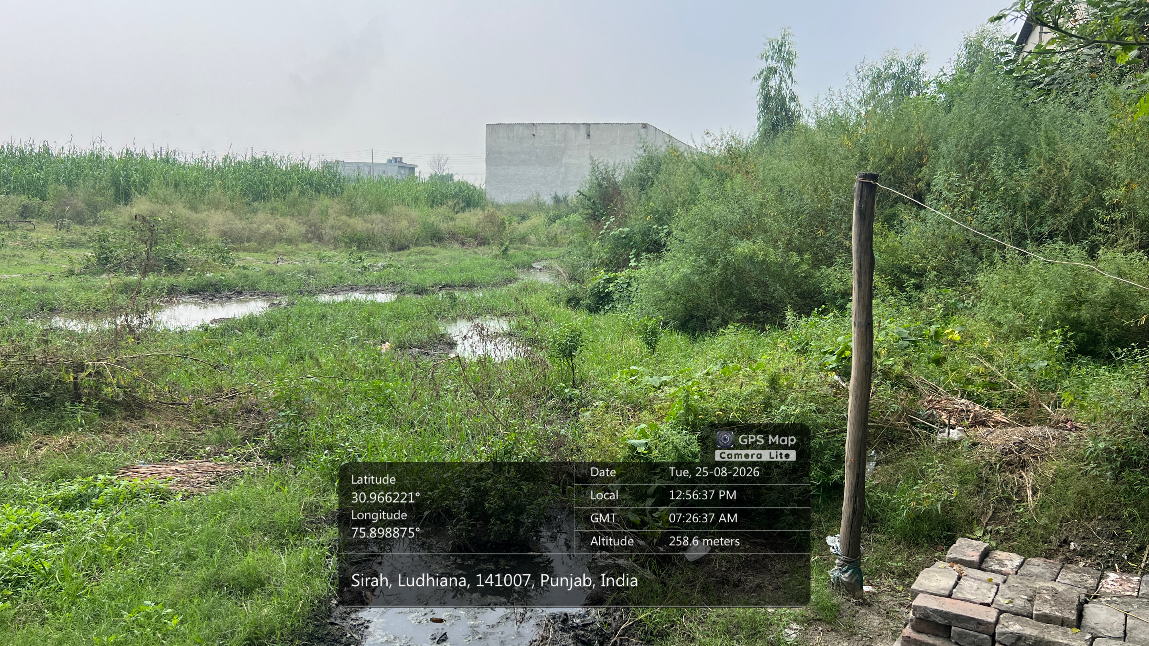 1815 square yard Plot for sale in Seerah, Ludhiana Ludhiana — photo 2