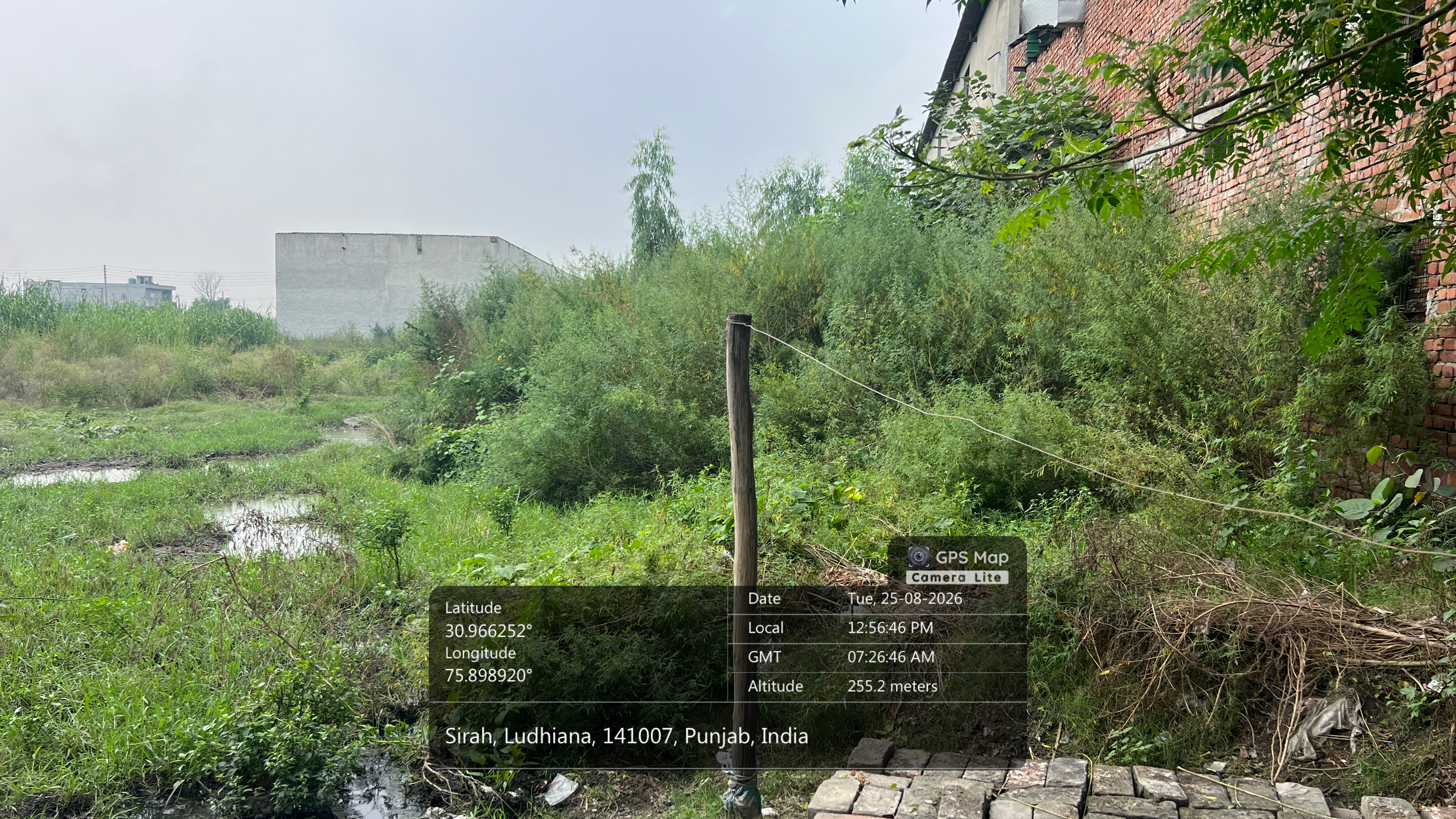 1815 square yard Plot for sale in Seerah, Ludhiana Ludhiana — photo 3