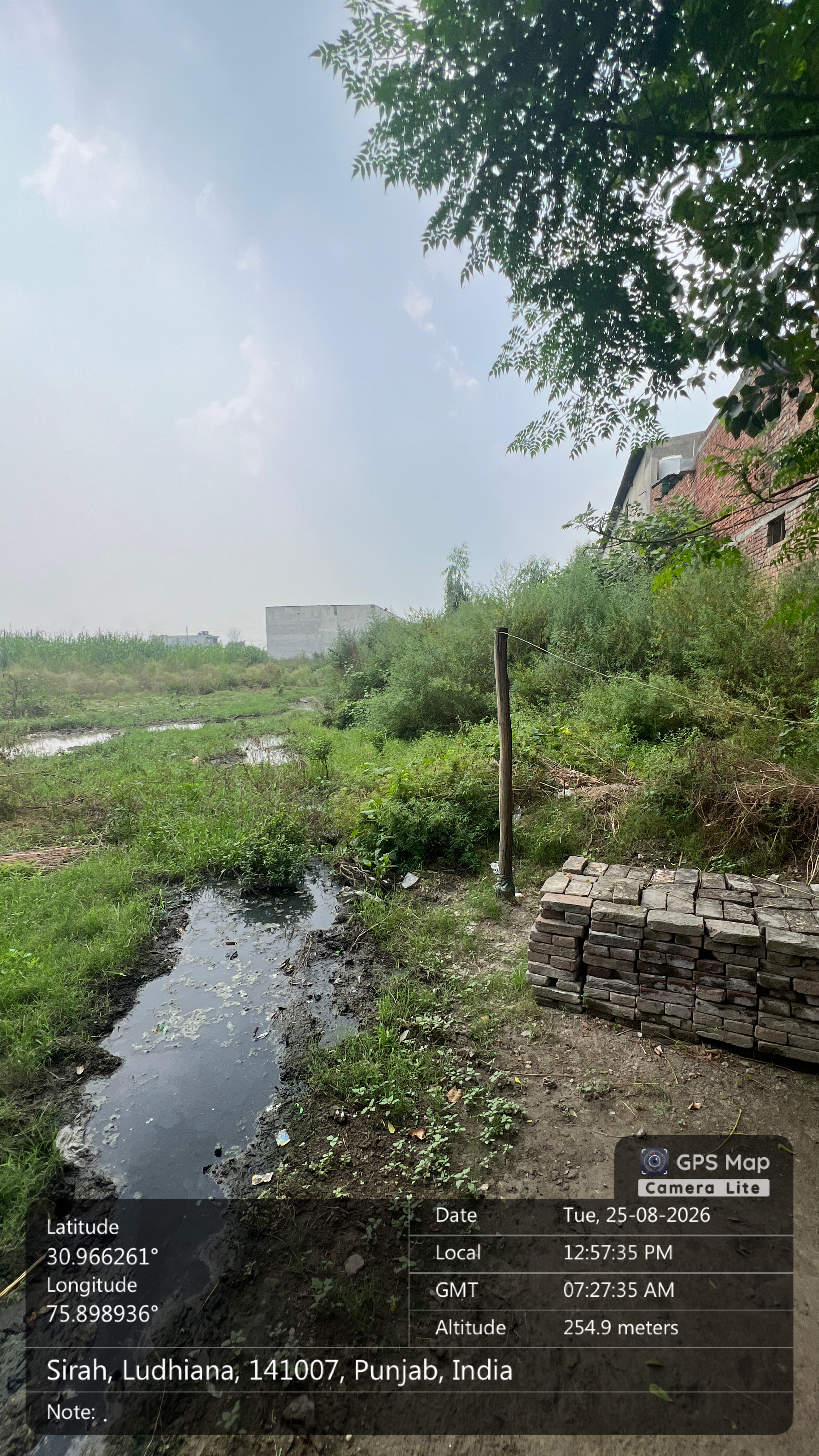 1815 square yard Plot for sale in Seerah, Ludhiana Ludhiana — photo 1