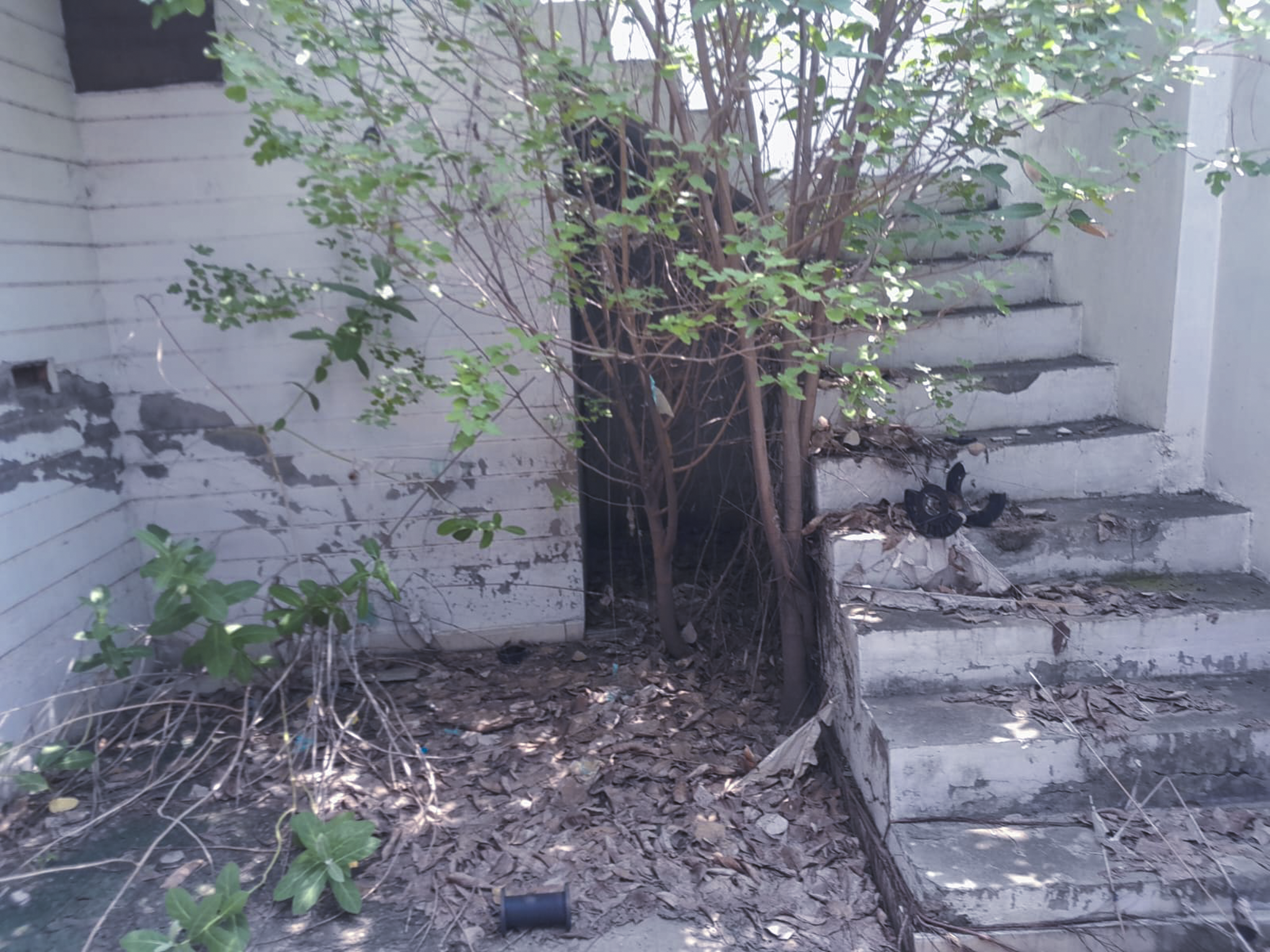 2016 square yard Individual House for sale in Double storey building, Aarewali Gali, Haibowal Kalan, Ludhiana, Haibowal Kalan, Durgapuri, Ludhiana Ludhiana — photo 11