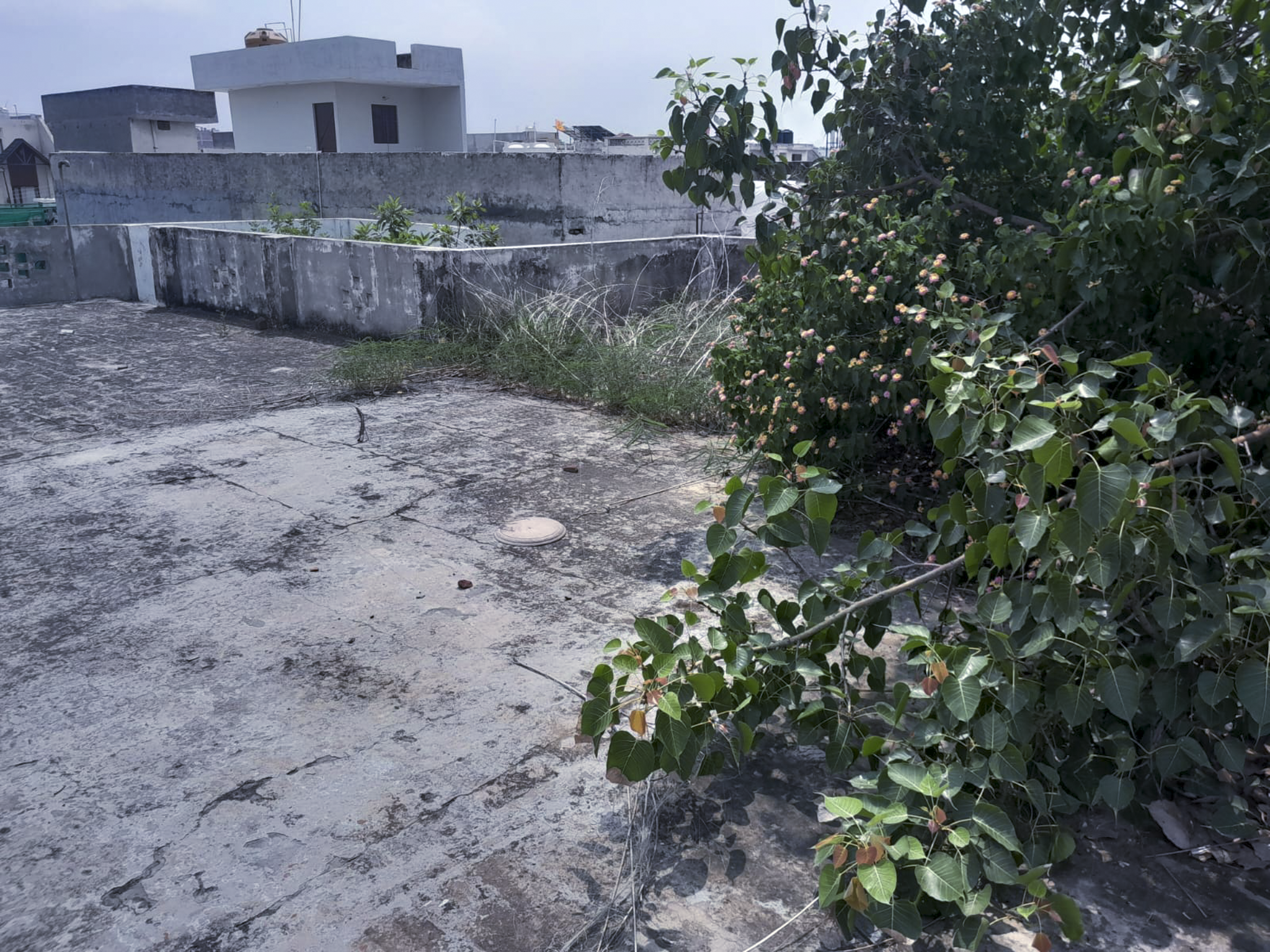 2016 square yard Individual House for sale in Double storey building, Aarewali Gali, Haibowal Kalan, Ludhiana, Haibowal Kalan, Durgapuri, Ludhiana Ludhiana — photo 14